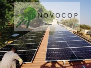 WhatsApp Image 2025-04-13 at 23.01.53 (1)